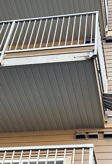 exterior-rot-repair-service
