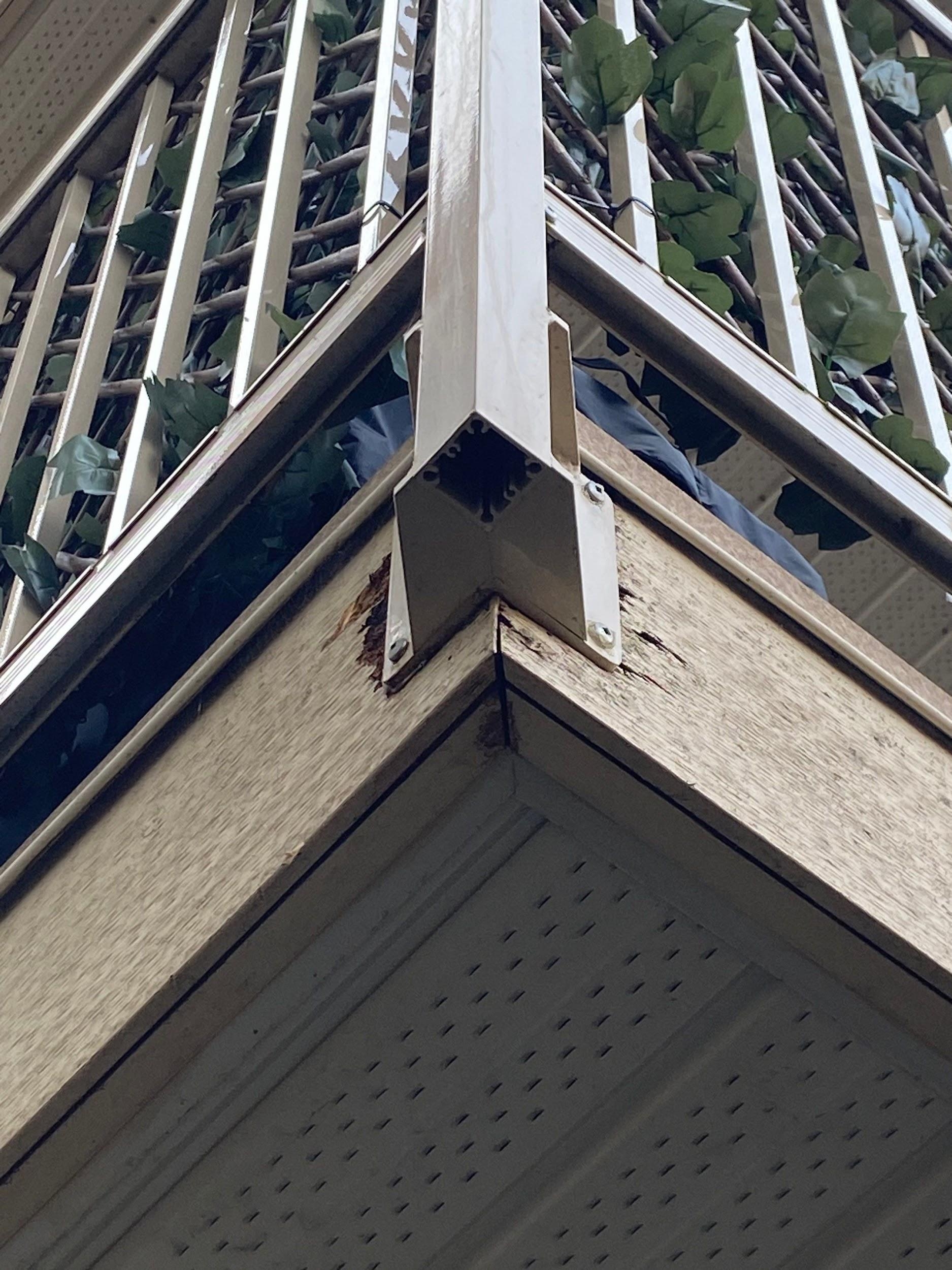 exterior-rot-repair-service